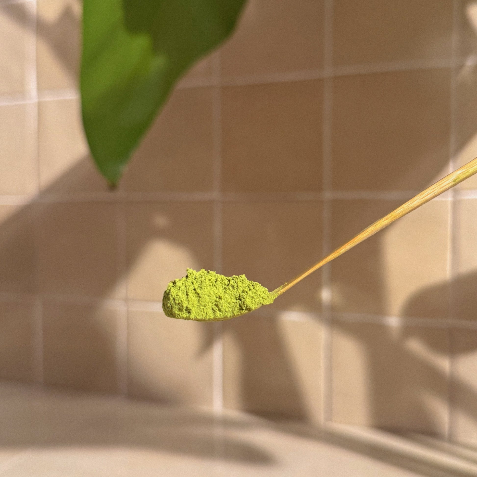 TIME TO COOK - Matcha Culinaire 100g - KEROLI MATCHA